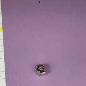 Pandora dolphin charm